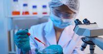 Is HEMO Becoming a Value Trap for Investors in 2026?