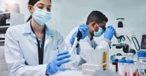 One LSE Listed Healthcare Stock Clocked Higher Revenue in FY24 - DXRX