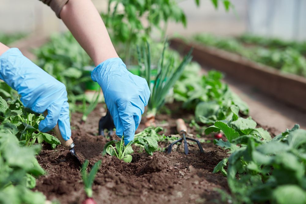 Business Update into One Agricultural Input Stock - SMG