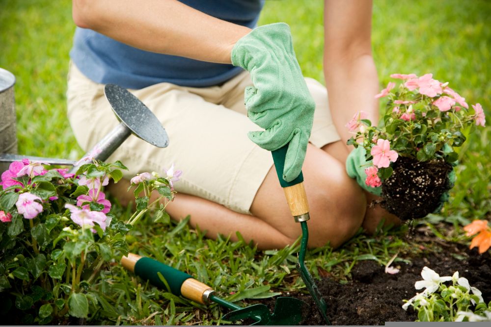 How is Business Trending In This Gardening Stock - SMG