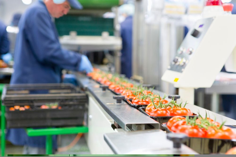 Market Update on One Food Products Company - ABF
