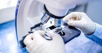 One NASDAQ-Listed Biotechnology Stock Breaches Major Support Zone- ACET