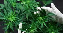 One NASDAQ - Listed Pharmaceuticals Company Amid Medical-Led Growth and Margin Expansion Analysis- ACB