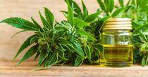 Watch Out for One NASDAQ- Listed Cannabis Stock – ACB