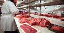 One NASDAQ-Listed Food Products Company Under Radar: BYND