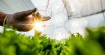 One NASDAQ- Listed Biotechnology Stock at Decent Technical Levels – CGTX