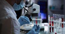 Technical Analysis on One NASDAQ Listed- Biotechnology Stock- RXRX
