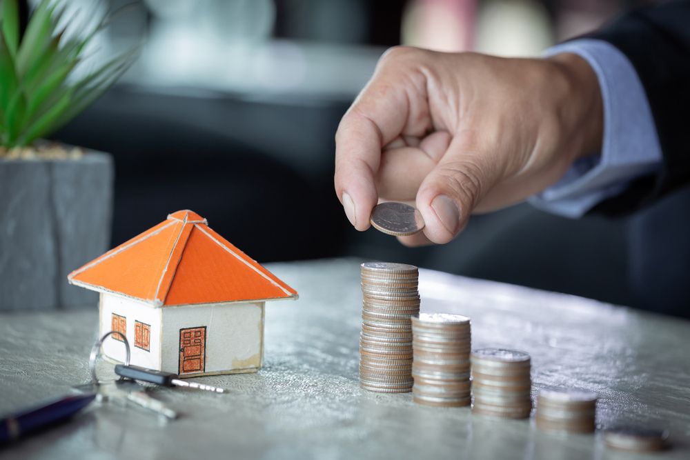 Two Expensive Small-Cap Plays - CSR, SESN