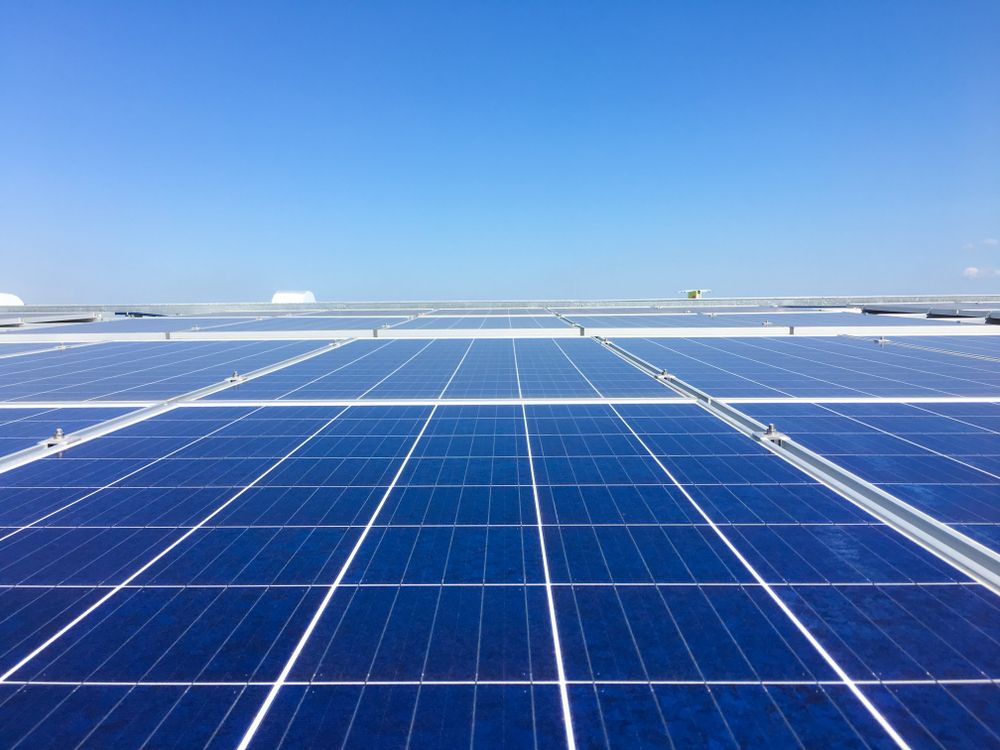 Should You Buy One Global Energy Stock and One Biotech Stock – CSIQ, FOLD