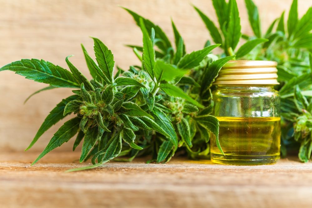 One Nasdaq-Listed Cannabis Stock in Watch Zone – TLRY