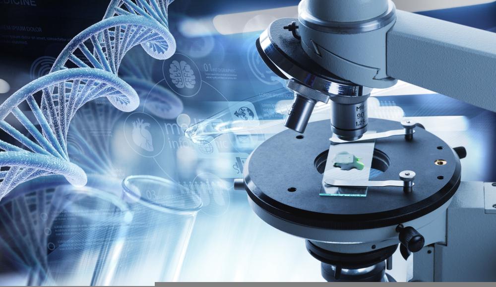 Technical Analysis on One NASDAQ- Listed Health Care Stock - NTLA