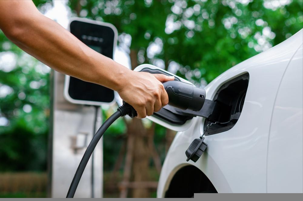 How TSLQ Works: Understanding the Structure of a Leveraged Inverse ETF